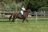 Filename=BRadXC1.jpg
Filesize=75KB
Dimensions=600x400
Date added=Oct 13, 2008 BRadXC1.jpg
