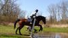 Filename=BelXCphf1.jpg
Filesize=486KB
Dimensions=2016x1134
Date added=Apr 25, 2007 BelXCphf1.jpg