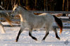 Filename=CRW_0924.jpg
Filesize=177KB
Dimensions=800x534
Date added=Mar 20, 2007 CRW_0924.jpg