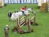 Filename=DHSjumper2.jpg
Filesize=59KB
Dimensions=500x375
Date added=Aug 24, 2007 DHSjumper2.jpg