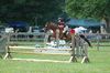 Filename=JD2.jpg
Filesize=4KB
Dimensions=150x99
Date added=Jun 17, 2009 JD2.jpg