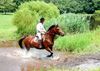 Filename=ML2.jpg
Filesize=352KB
Dimensions=1000x712
Date added=Aug 08, 2009 ML2.jpg
