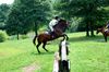 Filename=ML3.jpg
Filesize=245KB
Dimensions=950x629
Date added=Aug 08, 2009 ML3.jpg