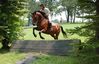 Filename=ML4.jpg
Filesize=250KB
Dimensions=950x613
Date added=Aug 08, 2009 ML4.jpg