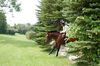 Filename=ML5.jpg
Filesize=280KB
Dimensions=1000x663
Date added=Aug 08, 2009 ML5.jpg