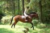 Filename=ML6.jpg
Filesize=242KB
Dimensions=1000x663
Date added=Aug 08, 2009 ML6.jpg