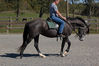 Filename=RT15.jpg
Filesize=51KB
Dimensions=400x266
Date added=Oct 13, 2008 RT15.jpg