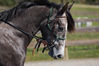 Filename=RT16.jpg
Filesize=40KB
Dimensions=400x266
Date added=Oct 13, 2008 RT16.jpg