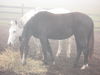 Filename=RainMLside.jpg
Filesize=152KB
Dimensions=640x480
Date added=Mar 20, 2007 RainMLside.jpg