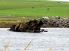Filename=barrierorkney.jpg
Filesize=85KB
Dimensions=600x449
Date added=Aug 23, 2008 barrierorkney.jpg