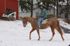 Filename=bee.jpg
Filesize=323KB
Dimensions=800x532
Date added=Dec 12, 2007 bee.jpg