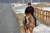 Filename=bee1.jpg
Filesize=371KB
Dimensions=800x532
Date added=Dec 12, 2007 bee1.jpg
