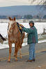 Filename=bee2.jpg
Filesize=387KB
Dimensions=532x800
Date added=Dec 12, 2007 bee2.jpg