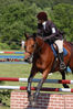 Filename=belles_5.jpg
Filesize=117KB
Dimensions=266x400
Date added=Jun 25, 2007 belles_5.jpg