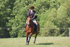 Filename=belles_cute.jpg
Filesize=123KB
Dimensions=400x266
Date added=Jun 25, 2007 belles_cute.jpg