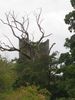 Filename=birr2.jpg
Filesize=92KB
Dimensions=500x666
Date added=Aug 27, 2007 birr2.jpg