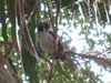 Filename=blackandwhiteowl.jpg
Filesize=104KB
Dimensions=666x500
Date added=Mar 22, 2007 blackandwhiteowl.jpg