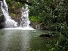 Filename=butterflyfalls3.jpg
Filesize=42KB
Dimensions=600x449
Date added=Jan 03, 2010 butterflyfalls3.jpg