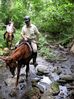 Filename=carlcreek1.jpg
Filesize=48KB
Dimensions=449x600
Date added=Jan 03, 2010 carlcreek1.jpg