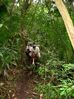 Filename=carljungle2.jpg
Filesize=53KB
Dimensions=449x600
Date added=Jan 03, 2010 carljungle2.jpg