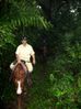 Filename=carljungle4.jpg
Filesize=34KB
Dimensions=449x600
Date added=Jan 03, 2010 carljungle4.jpg