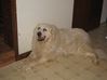 Filename=cassie2.jpg
Filesize=51KB
Dimensions=600x449
Date added=Aug 27, 2007 cassie2.jpg