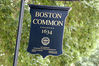 Filename=common.jpg
Filesize=269KB
Dimensions=600x399
Date added=Jul 19, 2007 common.jpg