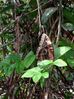 Filename=coolbutterfly.jpg
Filesize=42KB
Dimensions=449x600
Date added=Jan 03, 2010 coolbutterfly.jpg