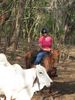 Filename=cowgirl.jpg
Filesize=82KB
Dimensions=375x500
Date added=Mar 22, 2007 cowgirl.jpg