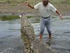 Filename=crocfed.jpg
Filesize=111KB
Dimensions=666x500
Date added=Mar 30, 2007 crocfed.jpg