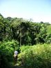 Filename=crossingpasture2.jpg
Filesize=43KB
Dimensions=449x600
Date added=Jan 03, 2010 crossingpasture2.jpg