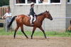 Filename=docjack2.jpg
Filesize=4KB
Dimensions=150x99
Date added=Aug 15, 2008 docjack2.jpg