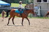 Filename=docjack5.jpg
Filesize=4KB
Dimensions=150x99
Date added=Aug 15, 2008 docjack5.jpg