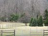 Filename=fencebefore1.jpg
Filesize=134KB
Dimensions=666x500
Date added=Apr 04, 2007 fencebefore1.jpg