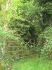 Filename=gate~0.jpg
Filesize=171KB
Dimensions=449x600
Date added=Aug 27, 2007 gate~0.jpg