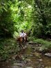 Filename=junglecreek2.jpg
Filesize=45KB
Dimensions=449x600
Date added=Jan 03, 2010 junglecreek2.jpg