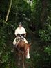 Filename=jungletrail2.jpg
Filesize=36KB
Dimensions=449x600
Date added=Jan 03, 2010 jungletrail2.jpg