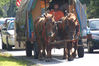 Filename=lee_horse.jpg
Filesize=239KB
Dimensions=600x399
Date added=Jul 21, 2007 lee_horse.jpg