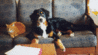 Filename=micfamcouch.gif
Filesize=23KB
Dimensions=288x161
Date added=Aug 30, 2007 micfamcouch.gif