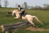 Filename=mlfh2.wmv
Filesize=255KB
Dimensions=0x0
Date added=Apr 25, 2007 mlfh2.wmv