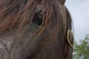 Filename=raineyethree.jpg
Filesize=86KB
Dimensions=600x399
Date added=Jul 05, 2008 raineyethree.jpg
