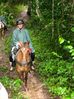 Filename=rainforest.jpg
Filesize=53KB
Dimensions=449x600
Date added=Jan 03, 2010 rainforest.jpg