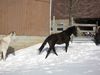 Filename=rainhillsnow.JPG
Filesize=449KB
Dimensions=1788x1341
Date added=Mar 20, 2007 rainhillsnow.JPG