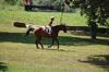 Filename=ralley3.jpg
Filesize=4KB
Dimensions=150x99
Date added=Aug 18, 2008 ralley3.jpg