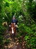 Filename=rockytrail2.jpg
Filesize=51KB
Dimensions=449x600
Date added=Jan 03, 2010 rockytrail2.jpg
