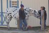 Filename=spotchat.jpg
Filesize=64KB
Dimensions=600x404
Date added=Jan 04, 2008 spotchat.jpg