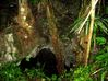 Filename=swallowcave1.jpg
Filesize=50KB
Dimensions=600x449
Date added=Jan 03, 2010 swallowcave1.jpg