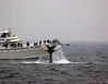 Filename=tail_boat.jpg
Filesize=251KB
Dimensions=600x467
Date added=Jul 19, 2007 tail_boat.jpg
