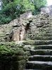 Filename=tikal20.jpg
Filesize=75KB
Dimensions=524x700
Date added=Jan 03, 2010 tikal20.jpg