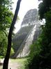 Filename=tikal22.jpg
Filesize=62KB
Dimensions=562x750
Date added=Jan 03, 2010 tikal22.jpg